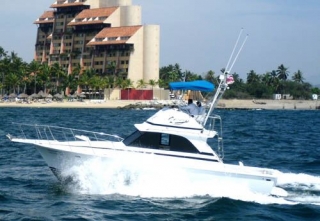 Paseo Puerto Vallarta